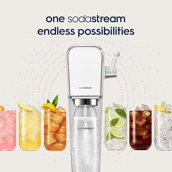 SODASTREAM DIET GINGER ALE SYRUP, 14.8 FLUID OUNCE