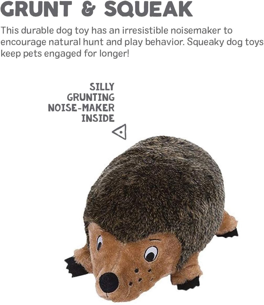 Pet Supplies : Pet Squeak Toys : Outward Hound Kyjen Hedgehogz Squeak Toy for Dogs : 