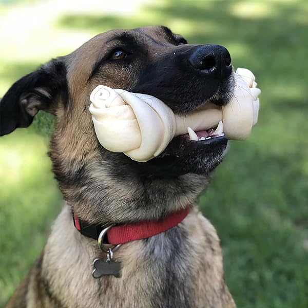 PET FACTORY AMERICAN BEEFHIDE 12″ KNOTTED BONE DOG CHEW TREAT – NATURAL FLAVOR, 1 COUNT/1 PACK