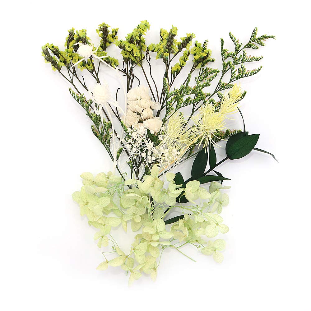 Shiwaki Preserved Dried Artificial Flowers Box for Resin Jewelry Making Shower Decor Home Decor - Summer Dream — image 1
