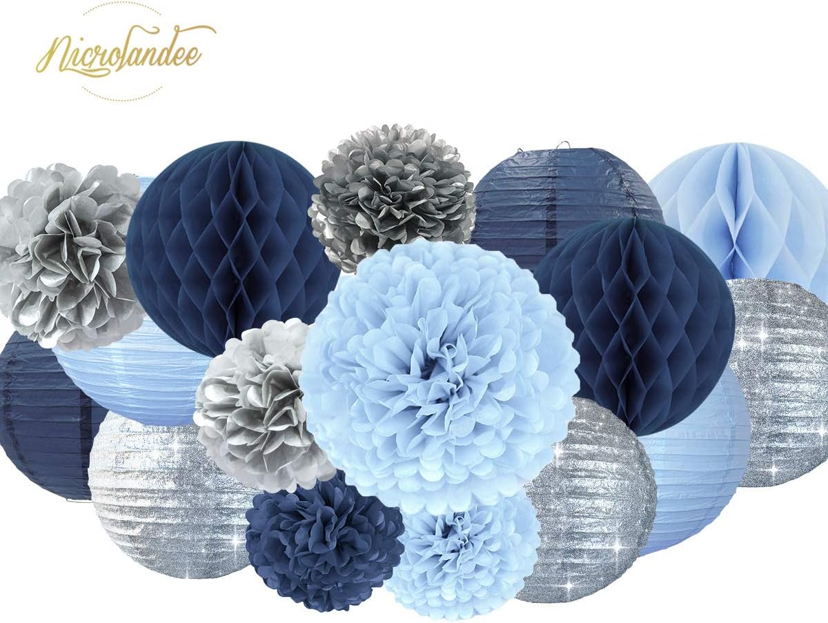 NICROLANDEE Frozen Theme Winter Wonderland Party Decoration - 16Pcs Silver Glitter Paper Lanterns Honeycomb Balls Tissue Pom Poms for Birthday Party Supplies Bridal Shower Wedding Decor: Health & Personal Care