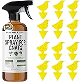 Kate's Home & Garden Plant Spray for Insects & Getting Rid of Gnats with 12 Sticky Traps. Fungus Gnat Killer & Bug Spray for Indoor Plants (16oz, Peppermint, Pet Safe, Non Toxic)