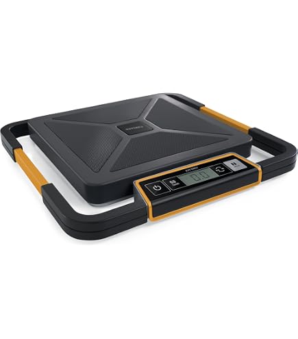 Balance De Livraison Mettler Toledo BC60 150LB (68kg) - Neuf, Plateforme Inox, USB