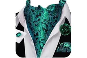 Ailisus Cravat Tie and Lapel Pin Set Mens Solid Color Paisley Ascot Silk Handkerchief Cufflinks Wedding