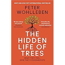 【万博非売品】THE STORY OF A TREE 図書出版 創元社 on X