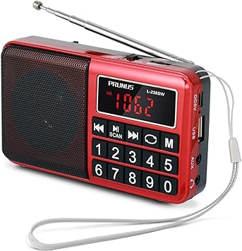 portable digital speaker