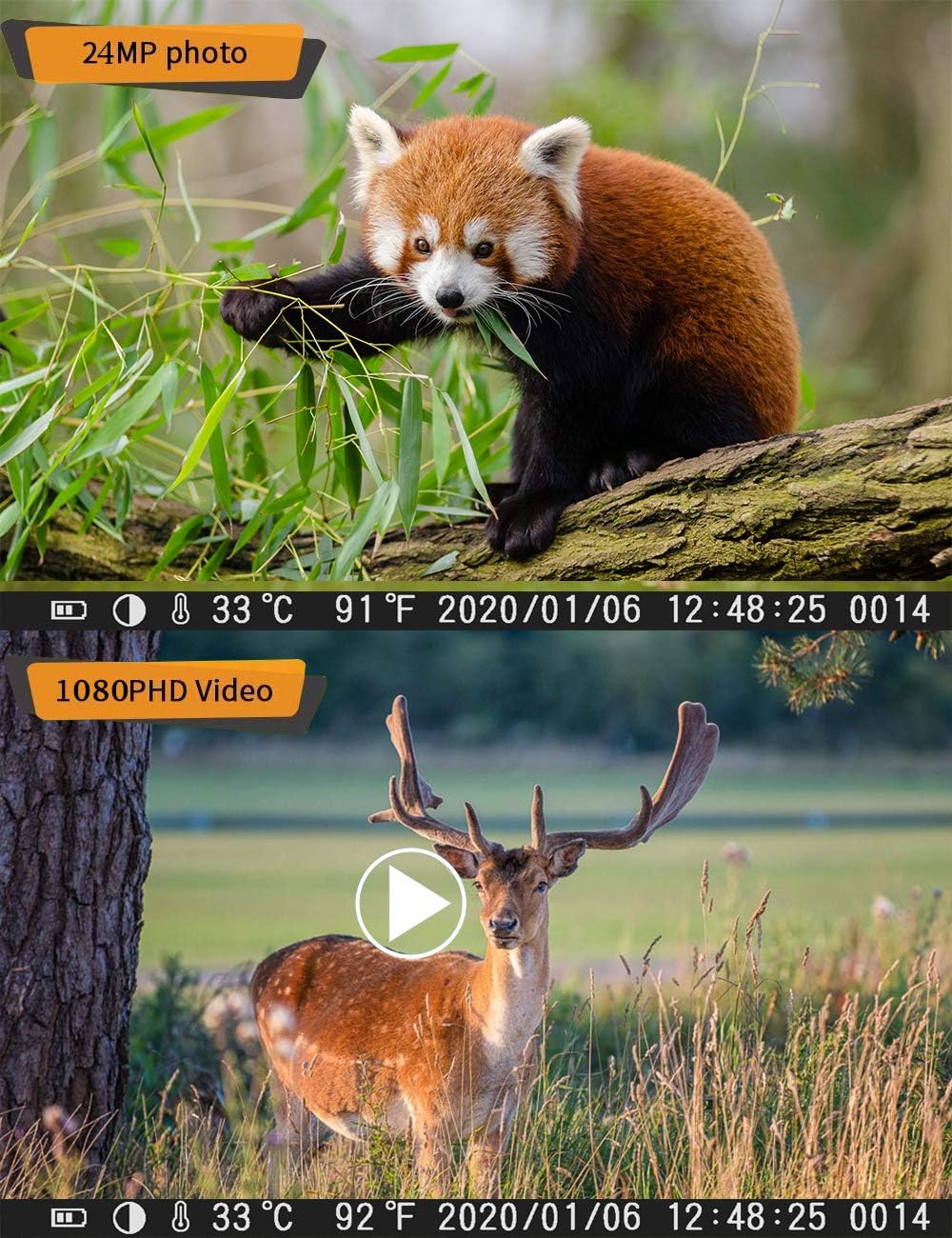 Suntekcam Trail Camera 24MP 1080P Hunting Game Camera for Wildlife Monitoring with 2.4" LCD 120° Detection Motion Activated Night Vision Camera -16GB SD Card: Electronics
