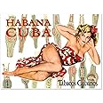 Tabacos Cubanos Pinup Girl Advertisement - Cuban Cigar Bands | Art Print Poster Vintage Wall Decor | 18 x 24 inches (458 x 610 mm)