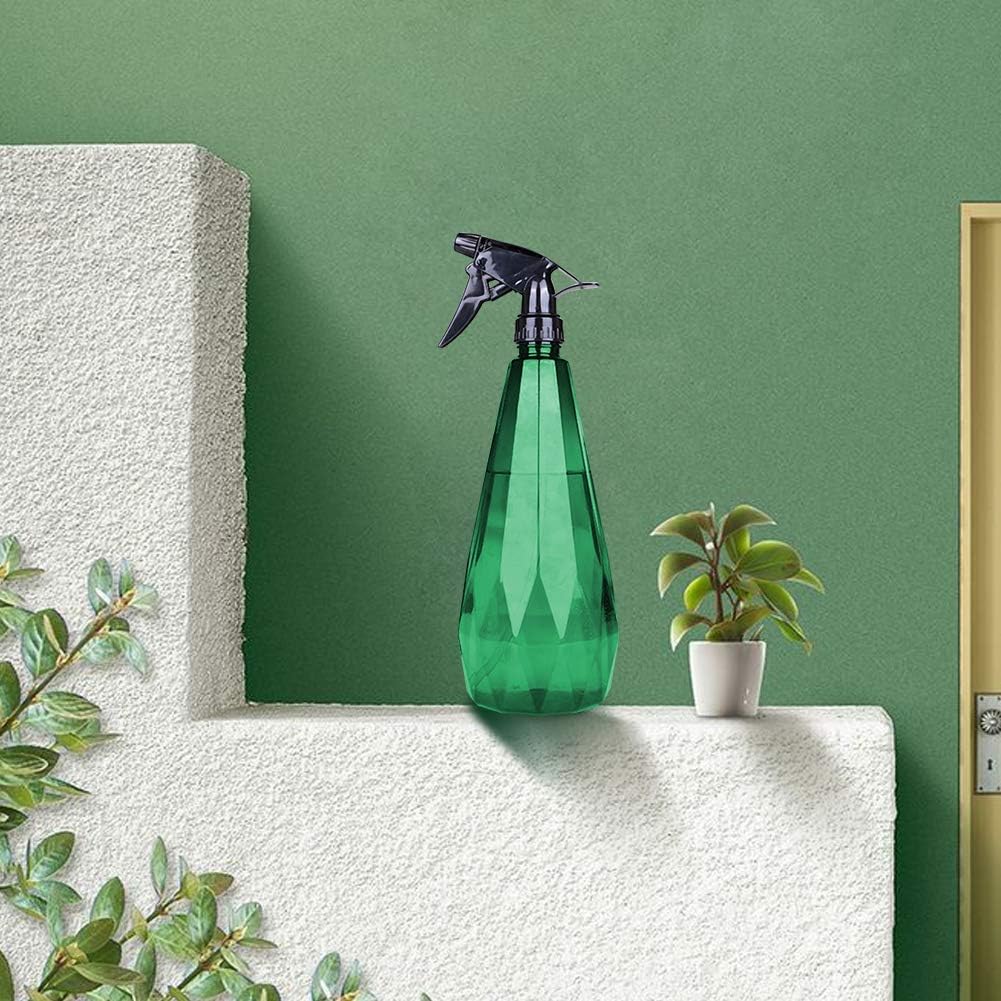 Evertree Watering Can Indoor, Small Watering Can for House Plants, Bonsai, Succulents and Flowers, Long Spout, with Plant Mister Spray Bottle : Garden & Outdoor