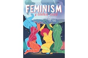 Feminism: A Graphic Guide (Graphic Guides)