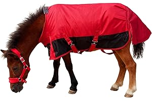 PERIXIR Mini Horse/Pony/Foal/Miniature Turnout Blanket, Medium Weight Winter Blanket for Horses, Donkey Blanket, 1680 Denier Waterproof &Breathable/220g Filling (Red, 55in)