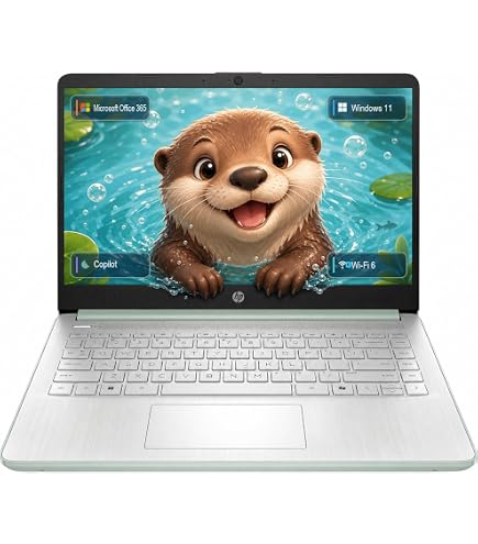 Amazon.com: Dell Latitude 3500 Laptop PC 15.6