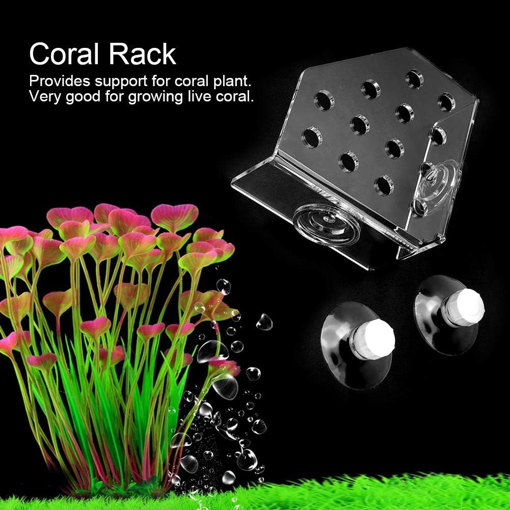 Acrylic Coral Frag Rack with Suction Cup Holder for Aquarium Fish Tank and Reef Tank - Image 4