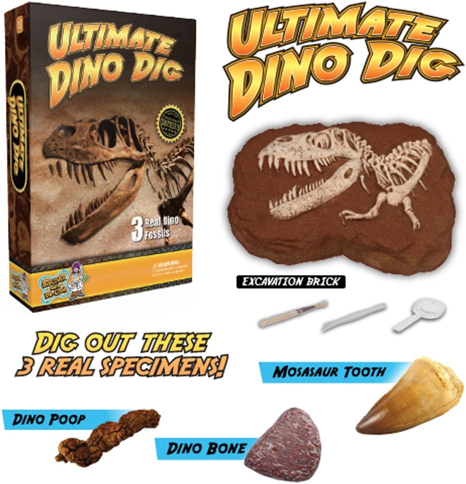 ultimate dino dig