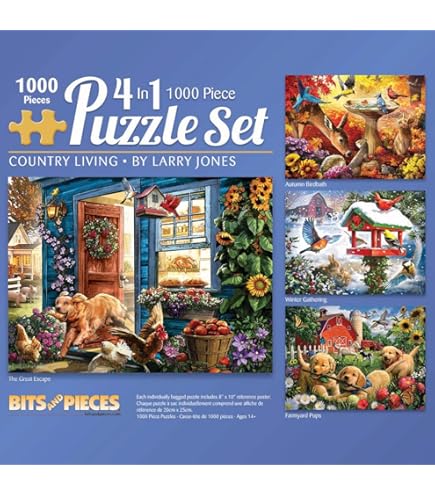 Amazon.com: Bits and Pieces – 4-in-1 Multi-Pack 1000 Piece