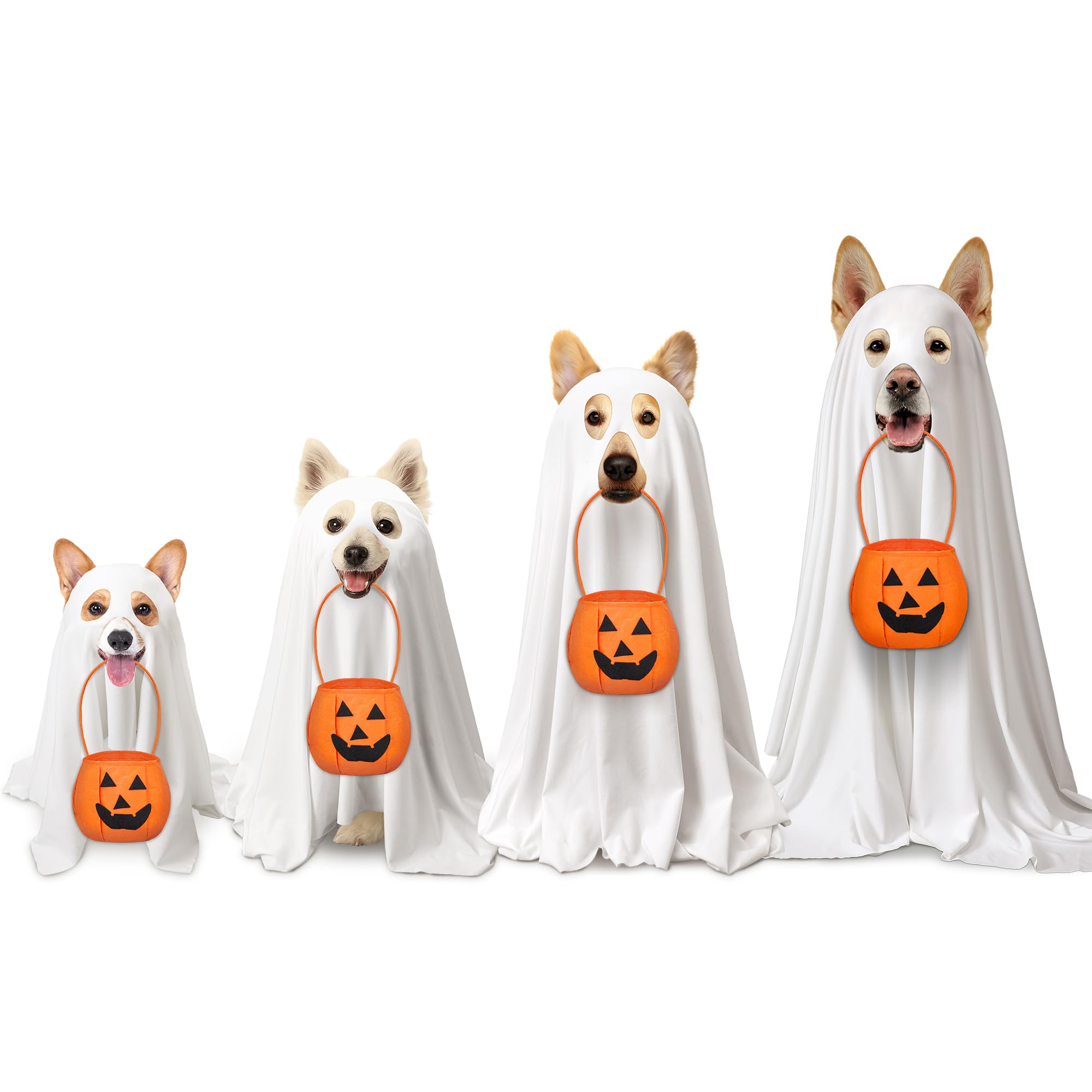 Photo 1 of Huhumy 2 Pcs Halloween Dog Costumes with Non Woven Pumpkin Bags White Ghost Costume for Dog Cat Ghost Cosplay Clothes, Cute Party Cape for Halloween Cosplay Party (Puppy)