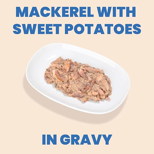 ALMO NATURE HQS COMPLETE CAT WET CAT FOOD MACKEREL RECIPE WITH SWEET POTATOES IN GRAVY – GRAIN-FREE CAT FOOD CANNED, 2.47 OZ (PACK OF 12)