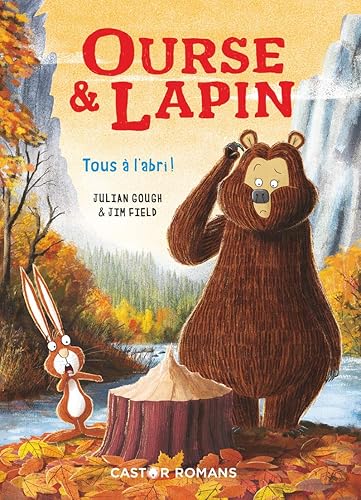 Download Ourse & Lapin : Tous à l'abri ! PDF