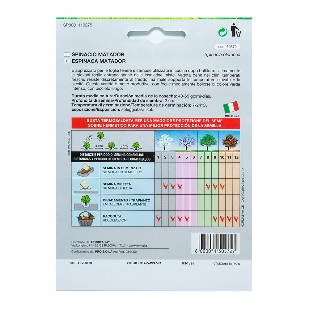 Semillas Espinaca Temprana (8 Gramos): Amazon.es: Jardín