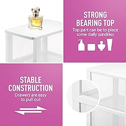 Plastic Small 2-Drawer Storage Organizer, Slim