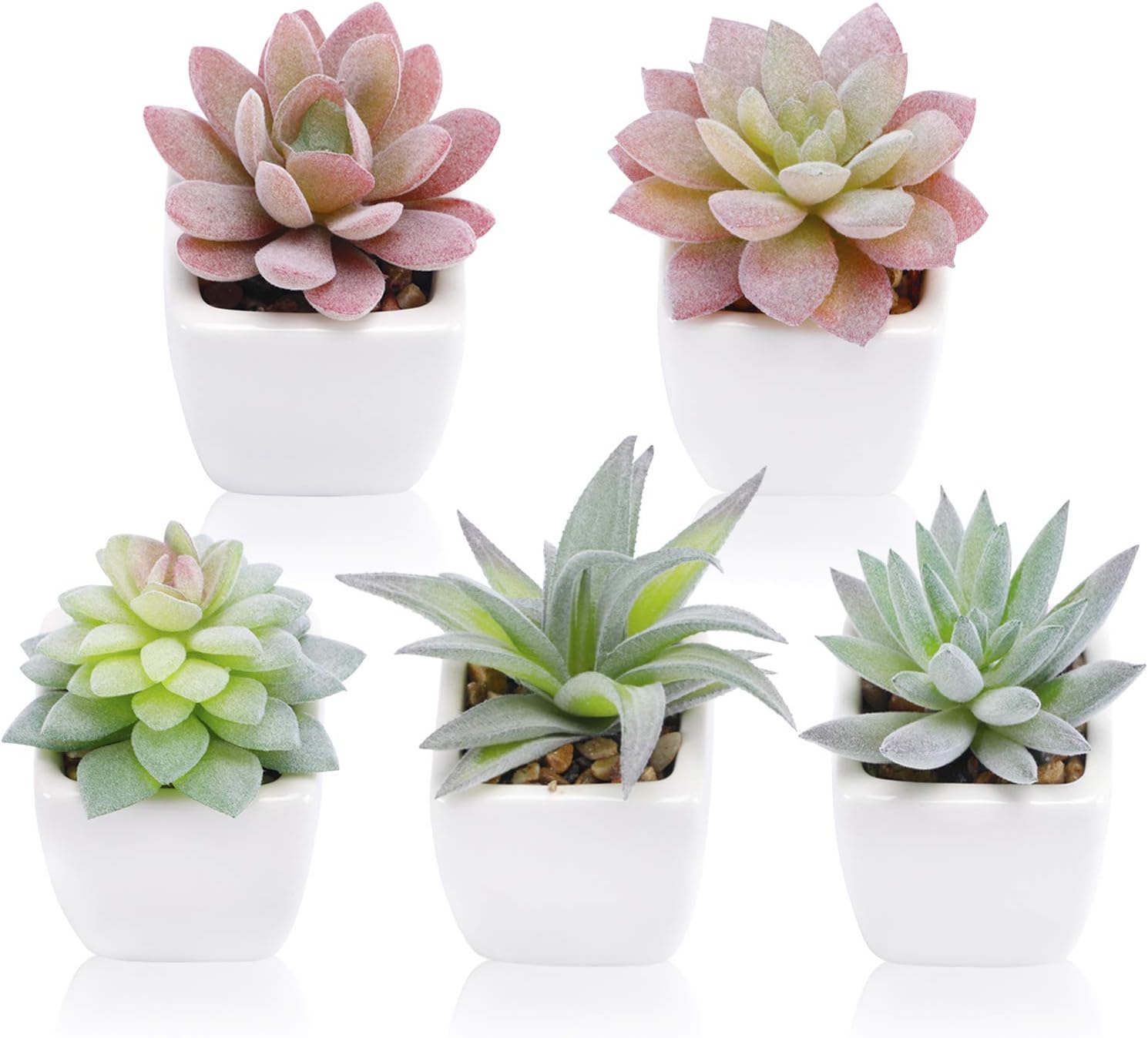 Funarty Artificial Succulent Plants Fake Succulent Plants in Pot Mini Faux Succulent for Home Decor Set of 5