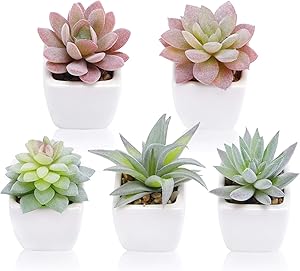 Funarty Artificial Succulent Plants Fake Succulent Plants in Pot Mini Faux Succulent for Home Decor Set of 5