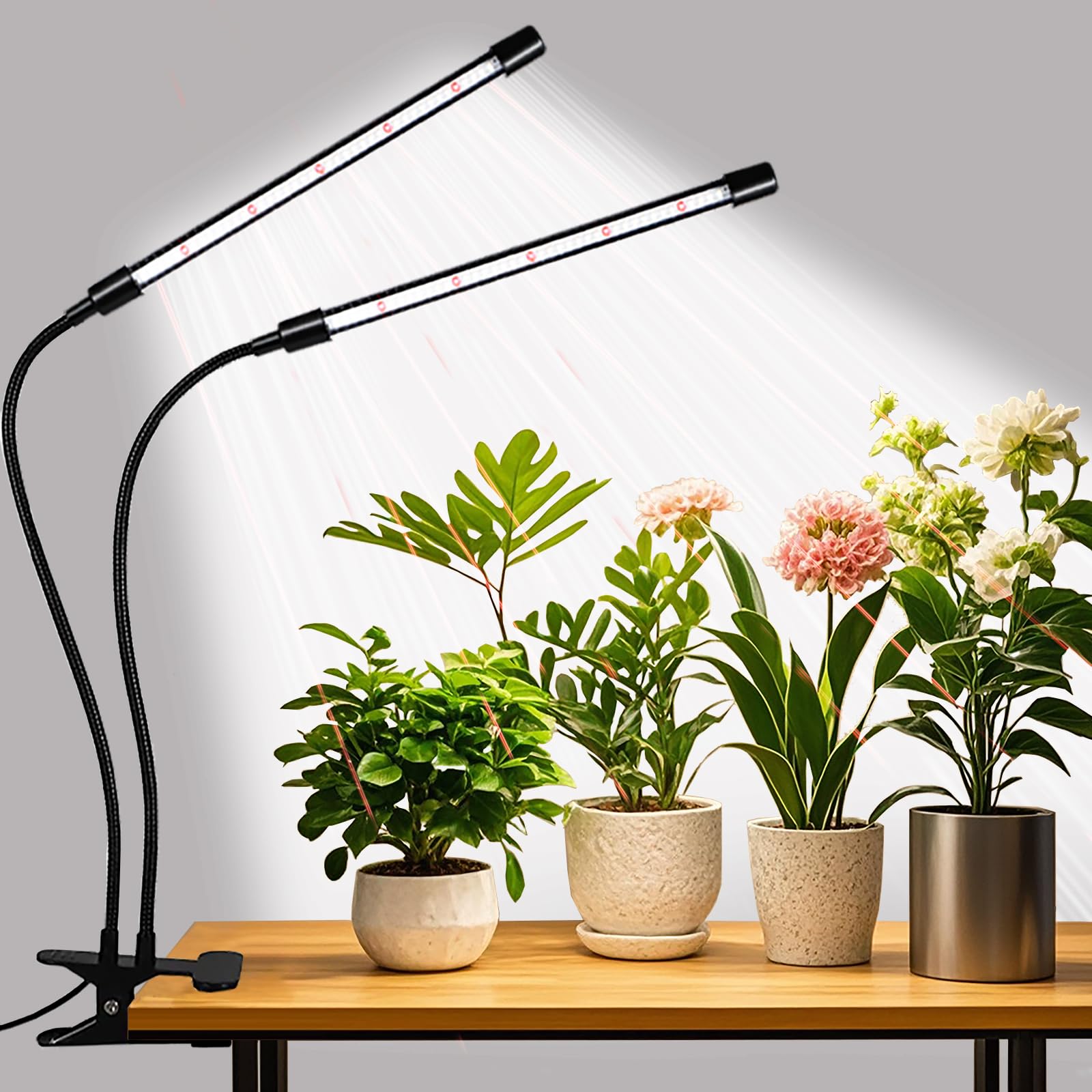 Sleek dual-arm plant care