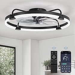 LEDIARY Ceiling Fans with Lights and