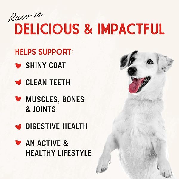 STELLA & CHEWY’S FREEZE DRIED RAW DINNER PATTIES – GRAIN FREE DOG FOOD, PROTEIN RICH STELLA’S SUPER BEEF RECIPE – 5.5 OZ BAG