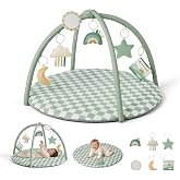 Blissful Diary Baby Play Gym Mat, Play Mat Activity Mat with 6 Detachable Toys for Stage-Based Sensory &amp; Motor Skill Development, Easy to Install &amp; Clean, Baby Essentials Gift, Sage Checkerboard