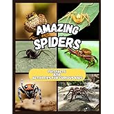 Amazing Spiders - Fun Facts and Activities for Curious Kids: A colorful children’s book about spiders with activities and facts that make learning fun (Ages 5–10)