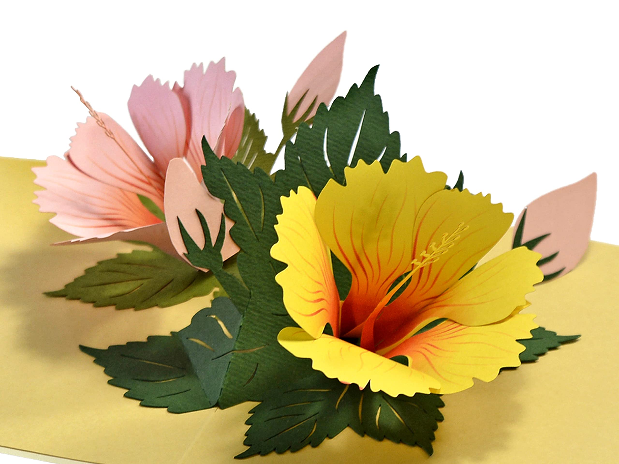 CUTPOPUP Hibiscus Birthday Cards for Women, Mothers Day Card Pop Up, Flowers 3D Gifts for Her, Wife Mum Daughter Sister Grandma Mothers Day Valentines Anniversary US8-FL083UK