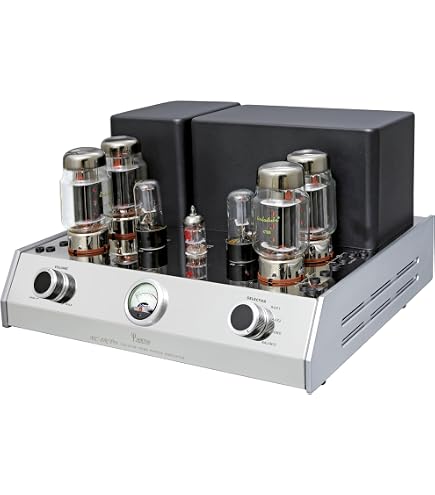 Amazon.com: Yaqin MC-88CPro Push Pull Tube Amplifier KT88 Two Way