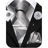 Hi-Tie Mens Paisley Floral Striped Ties Set Silk Necktie and Lapel Pin for Men Pocket Square Cufflinks Set Business Wedding
