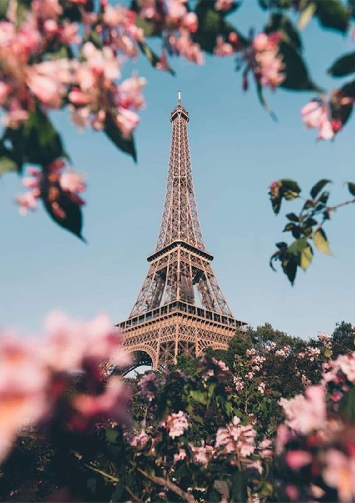 5D Diamond Painting Full Kit, DIY Diamond Painting by Number Kits for Adults Full Drill Rhinestone Crystal Embroidery Pictures Cross Stitch for Home Wall Decor Gift 11.8 x 15.7 inch (Cherry Blossom)