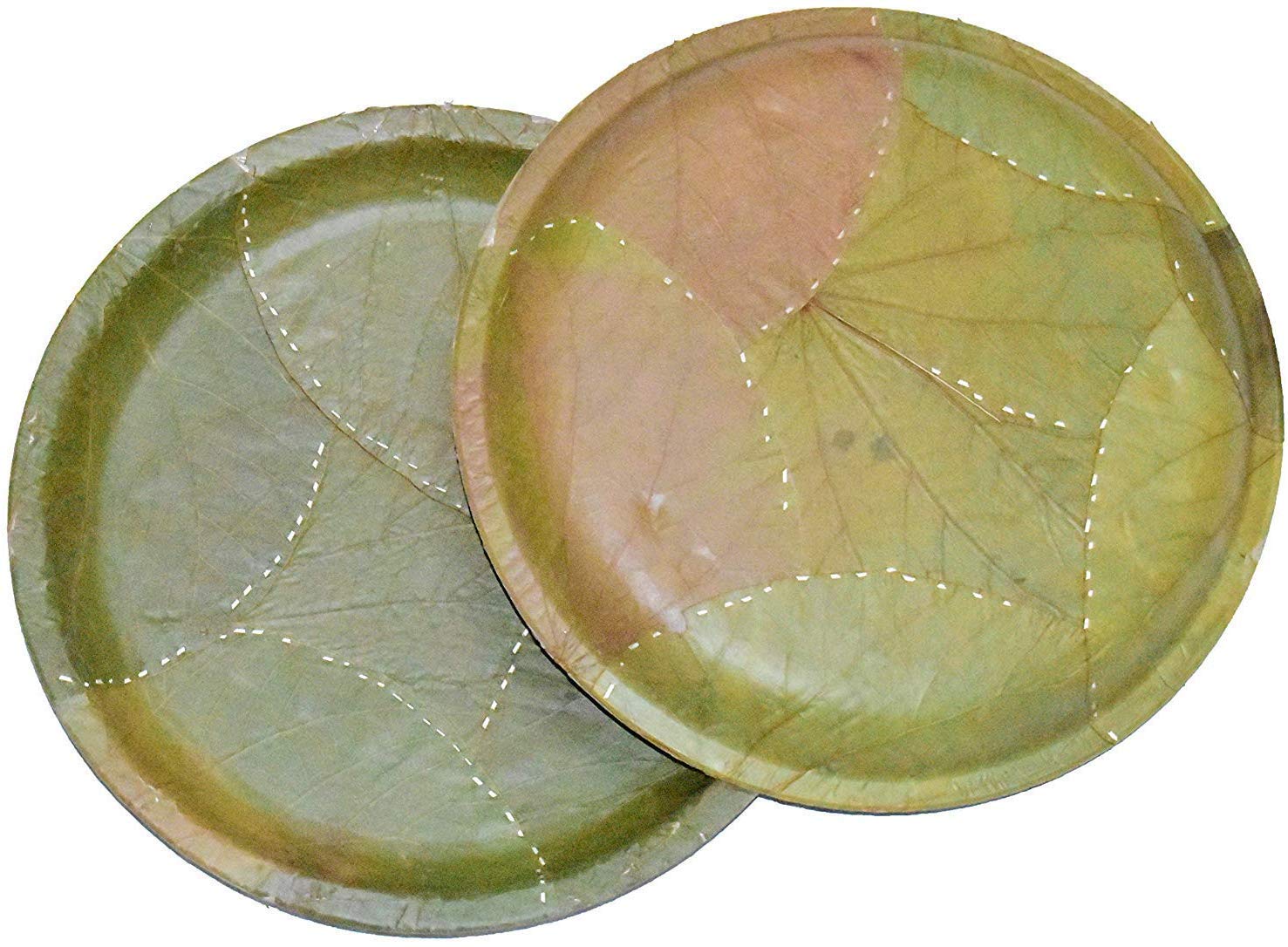 Buy Ssanvi 100 Biodegradable Disposable SAL Leaf Plates, Party Plates