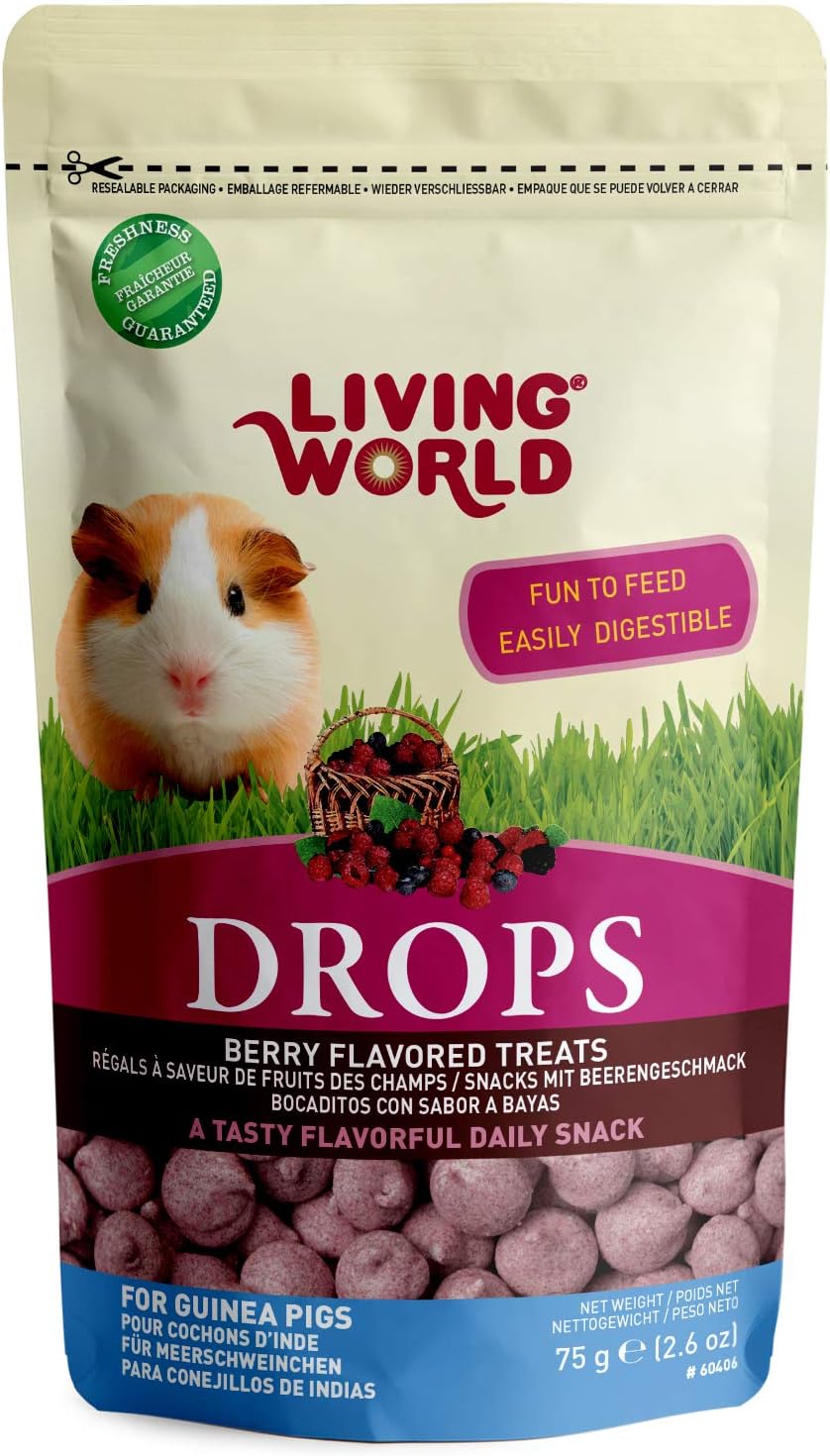 small world guinea pig food