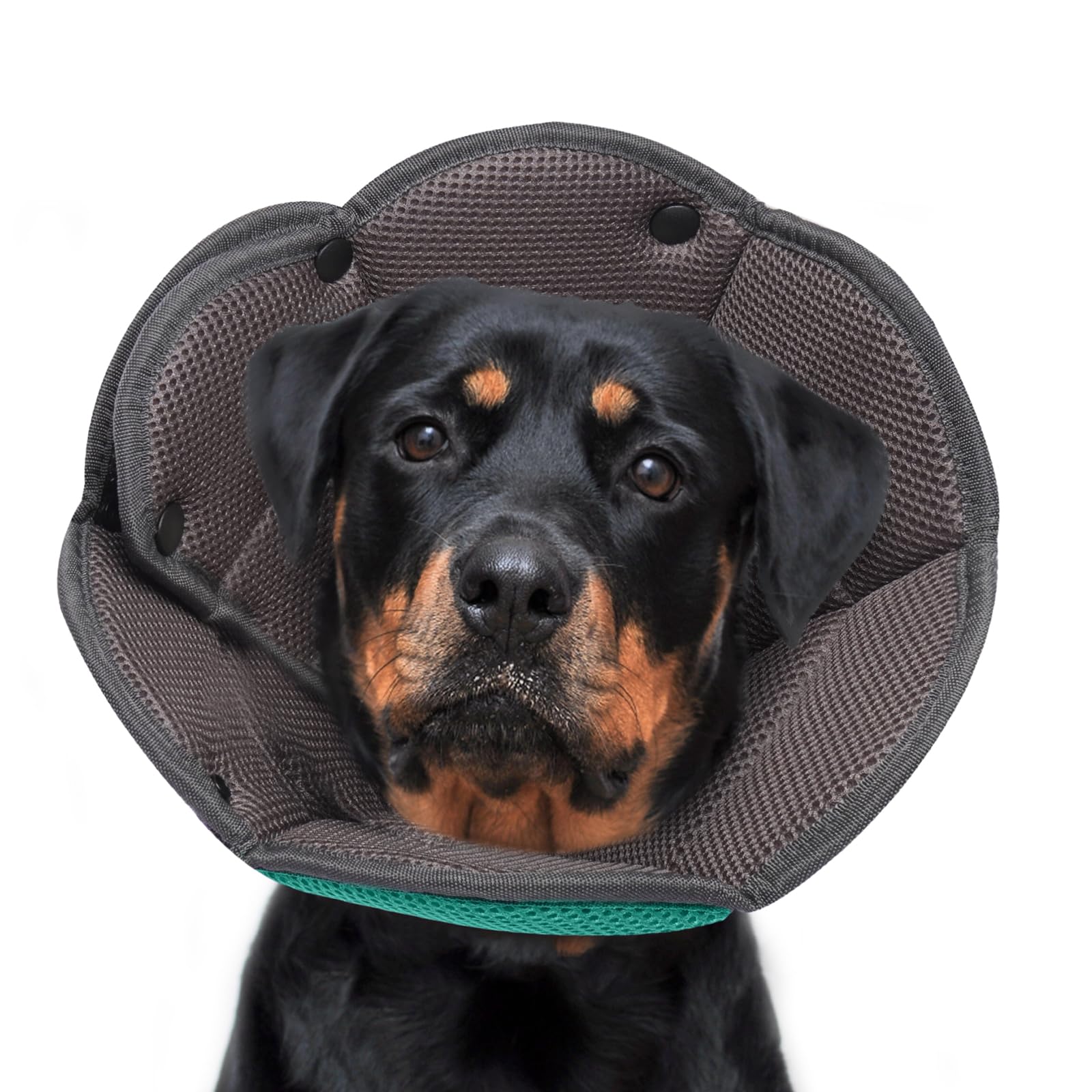 Hjyokuso Dog Cone Collar L, Soft Cones for Large Medium Small Dogs,Adjustable Dog Cone Alternative to Stop Licking, Comfy Elizabethan Collar for After Surgery Wound Healing & Hot Spots LakeBlue