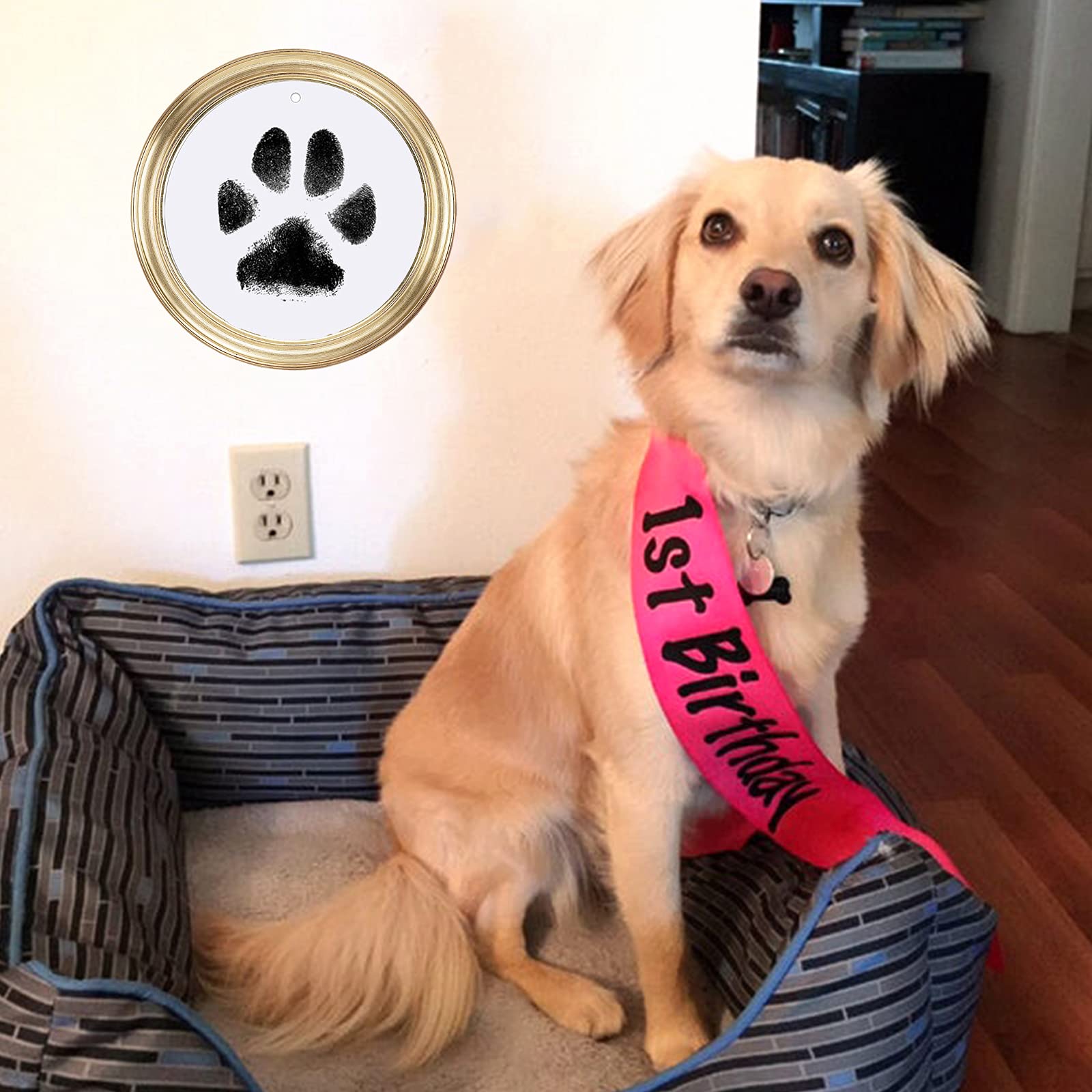 Ink Pad for Baby Hand and Footprints, 2Pcs Clean Touch Ink Pads with 6 Imprint Cards, Dog Paw Print Kit, Doesn’t Touch Skin, Inkless Print Kit Safe Non-Toxic for Newborn Baby, Family Keepsake