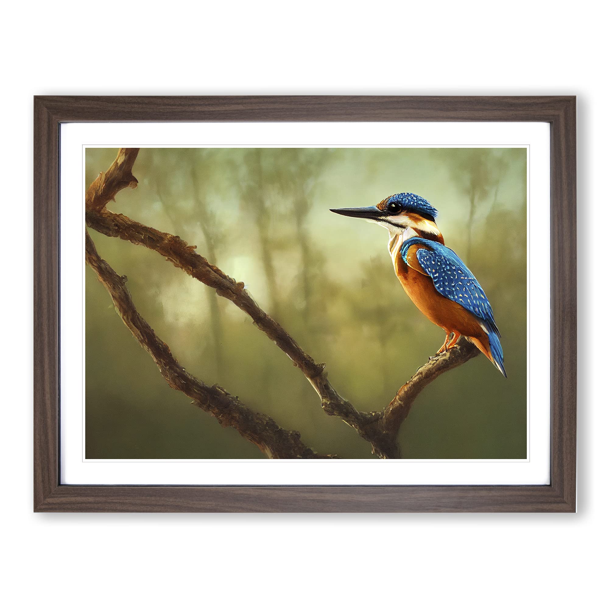 Enlightened Kingfisher Bird Framed Print | A4 Walnut Framed Wall Art | Ready to Hang | Modern Nature Picture | Living Room Bedroom Lounge Office