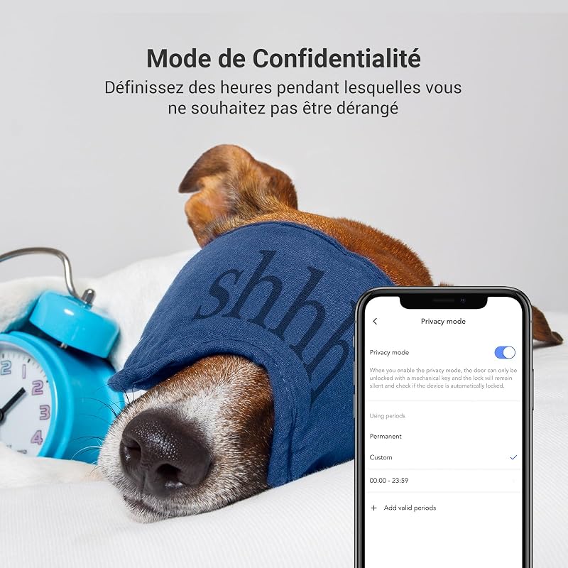 Smart Lock avec Clavier Multifonctionnel, Serrure Connectée fonction Bluetooth accès à distance, Serrure Smart Lock accès sans Clé pour Maison Connectée, DL01PRO et DL01CP