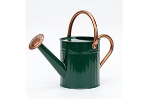 Bamworld Watering Can Indoor Stainless Steel Watering Can Indoor Outdoor Long Spout Water Can for Watering Plants 1/2 Gallon 