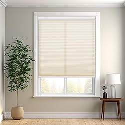 Changshade Cordless Cellular Shades, Light