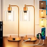 Homelist Gold Bedside Lamp Set of 2 with USB Dimmable LED Bulbs