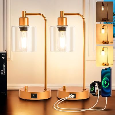 Homelist Gold Bedside Lamp Set of 2 with USB Dimmable LED Bulbs