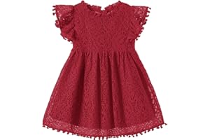 Niyage Toddler Girls Elegant Lace Pom Pom Flutter Sleeve Party Princess Dress