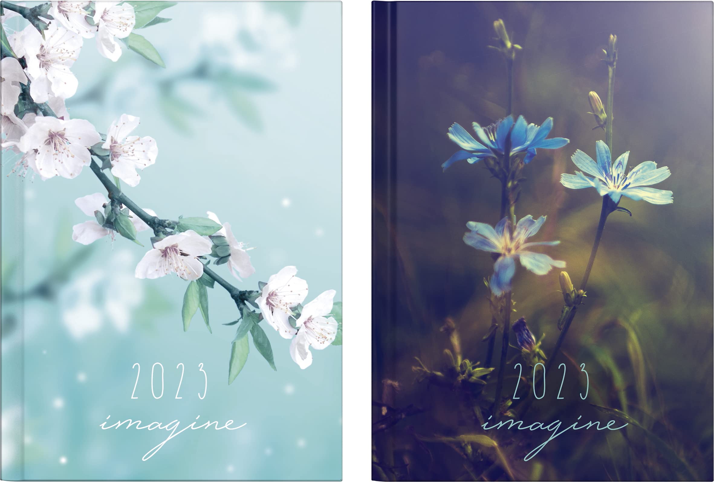 rido/idé Mentor 2023 Daily Calendar Sheet Size 14.8 x 20.8 cm