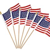 Augshy 65 Pack Small American Flags, Mini USA Flags