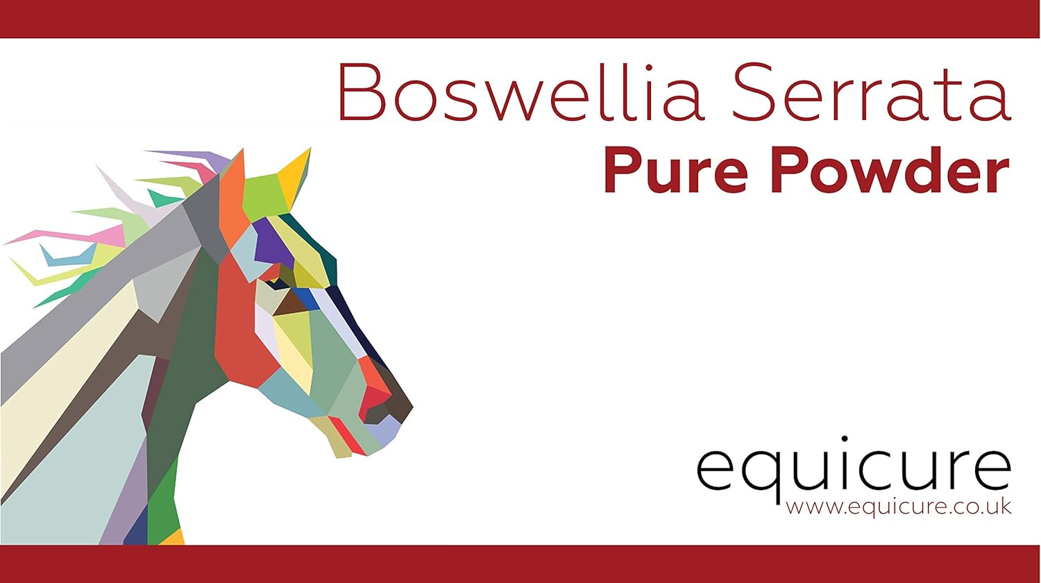 Equicure Boswellia Serrata Powder For Horse/Pony (2.5KG), 2.5 kg (Pack of 1) - Image 4