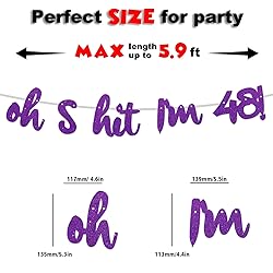 Oh S*it I’m 48! Banner Backdrop Glitter Purple